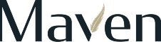 Maven Securities logo